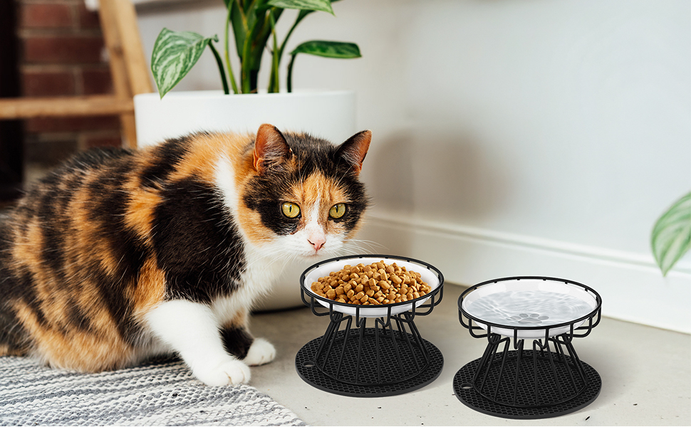 Підвищені миски для котів 2 шт. з підставки, керамічні миски для корму та води, чорні