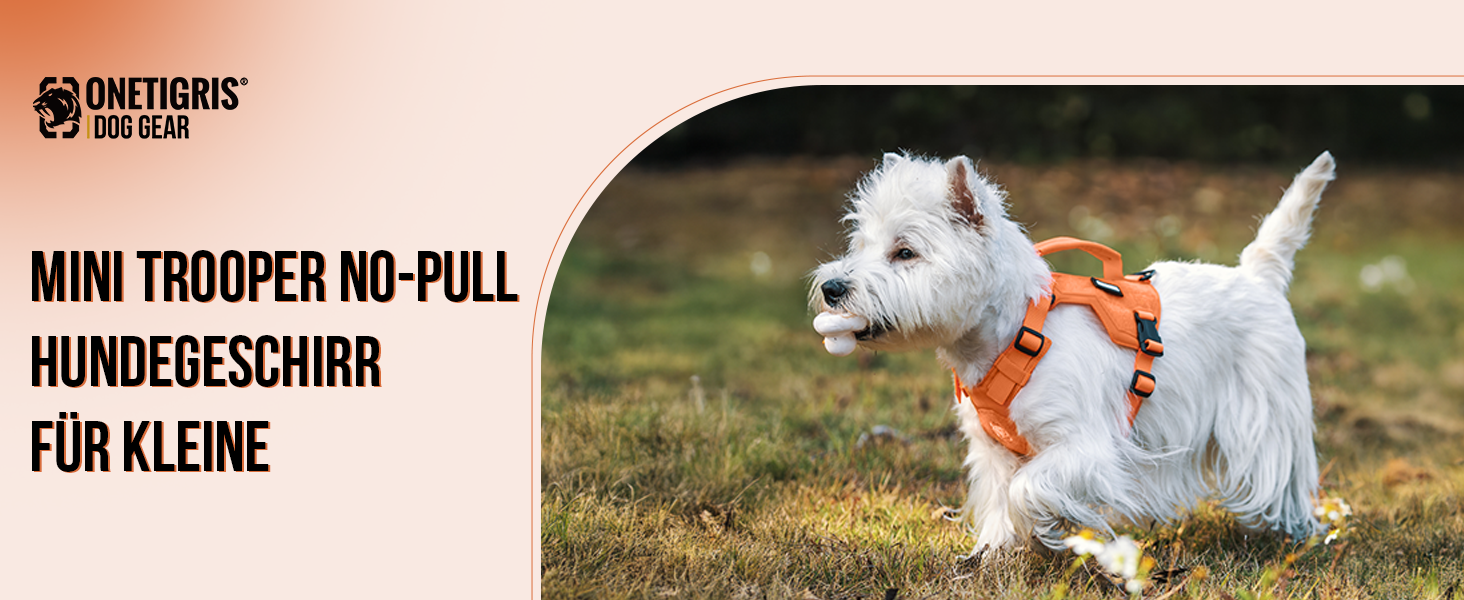 Нашийник для собак OneTigris MINI Trooper, оранжевий, XXXS, з повідком 150 см, 2 положення для буксирування