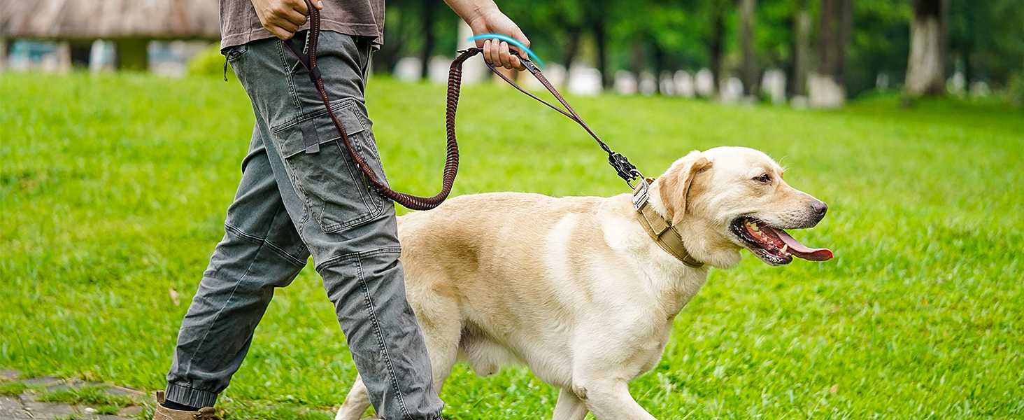 Тактична повідок для собак Joytale, еластична повідок з 2 м'якими ручками, страхувальний ремінь для автомобіля, повідок без ривка для собак середніх, великих та екстра-великих порід (1.2м-1.8м, коричнева)