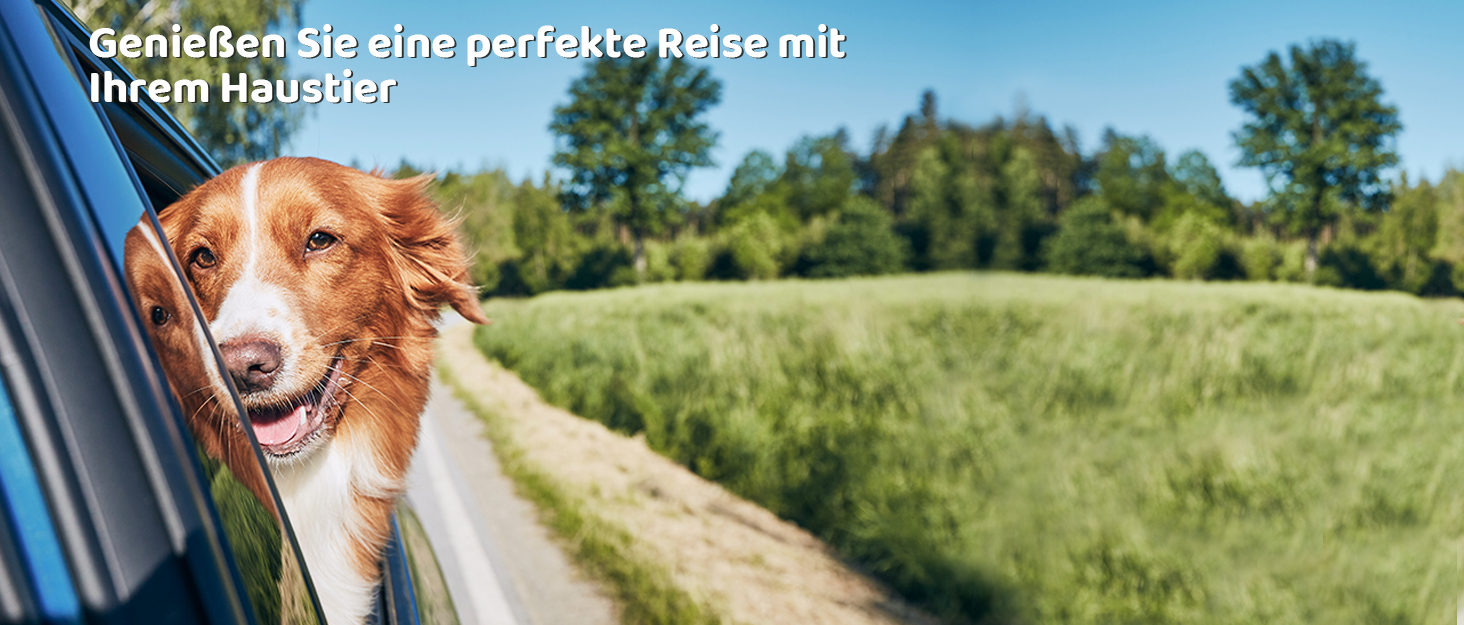 Автокрісло для собак KYG - Стабільне, водонепроникне, неслизьке та стійке до подряпин - для собак малого та середнього розміру - на переднє та заднє сидіння (Чорний) 6696