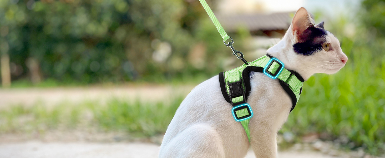 Шлейка для кота Rabbitgoo з повідком, м'яка, безпечна, регульована, зелена, розмір M (XXS, 1 шт.)