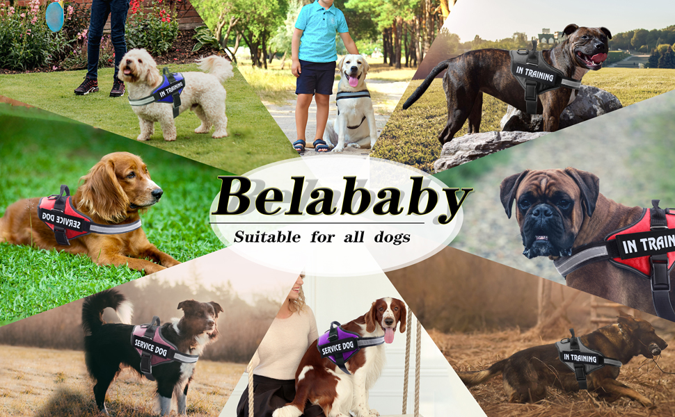 Шлейка для собак проти тяги, дихаюча, регульована, для прогулянок та тренувань, нагрудник, для вулиці, легкий контроль, середні, малі, великі породи, (XL, Рожевий)