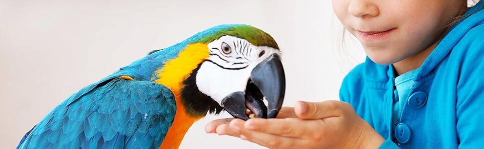 Контейнер для пташиного корму Geyecete, 2.5 кг, білий