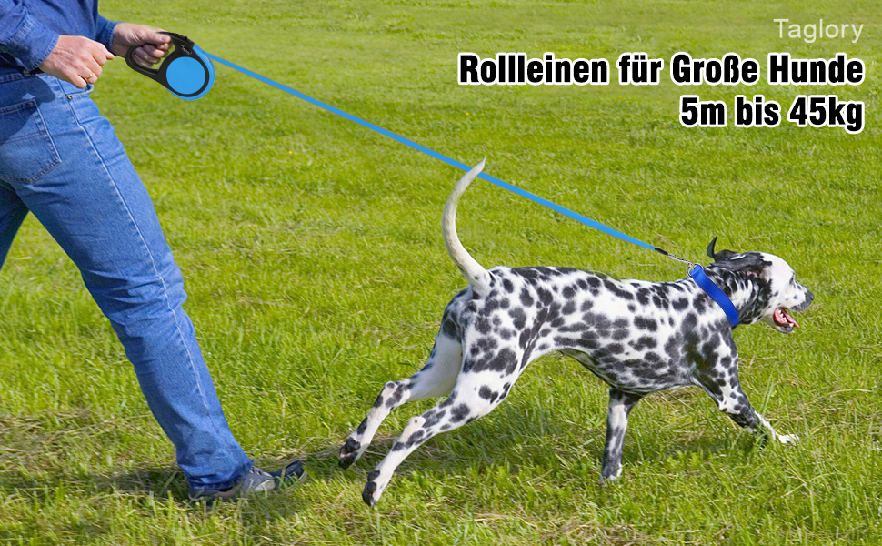 Висувна повід для собак середніх та великих порід до 45 кг, Taglory, 5 м, блакитний
