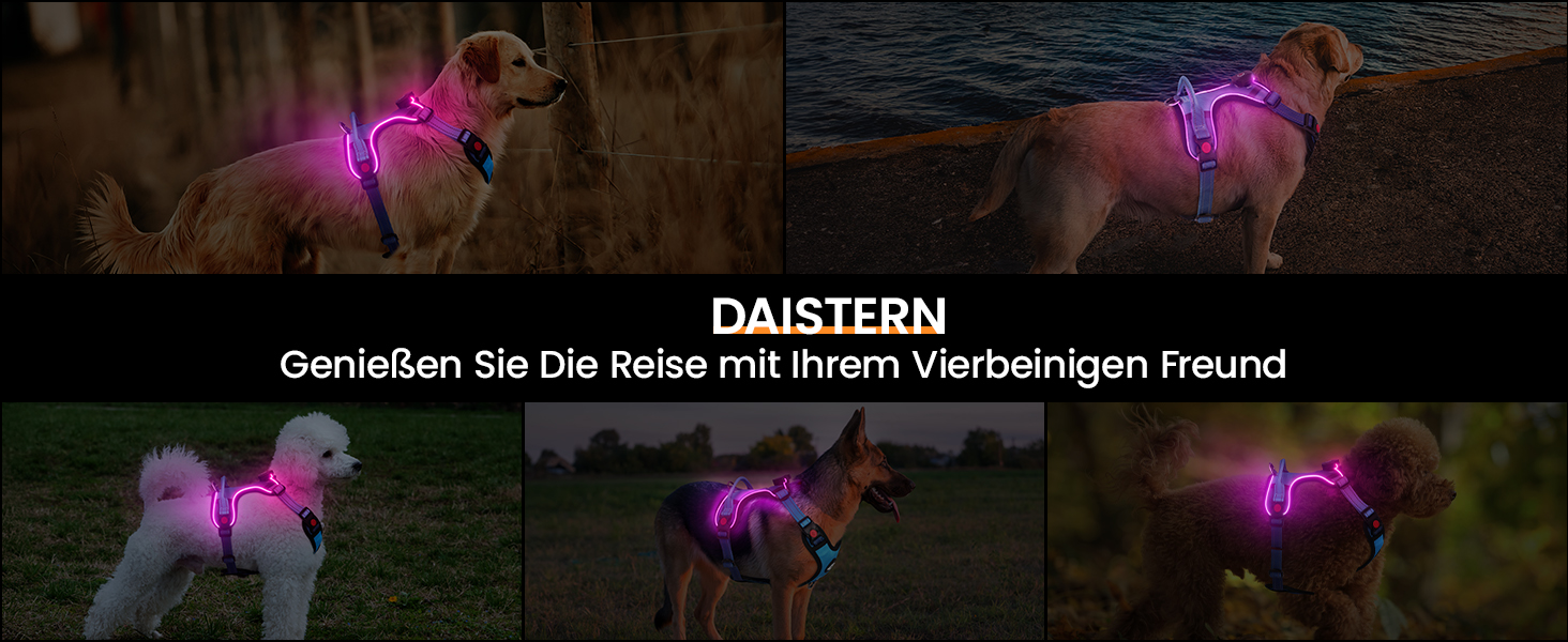DAISTERN BSWAY LED шлея для собак M, з ручкою, акумуляторна, з підсвіткою, 3 режими миготіння, світловідбиваючі смуги, для малих і середніх порід