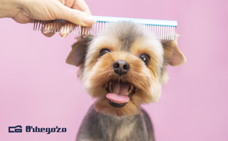 Машинка для стрижки собак Orbegozo CTP 5050, нержавіюча сталь, регульована довжина стрижки, набір у кейсі, 12 Вт