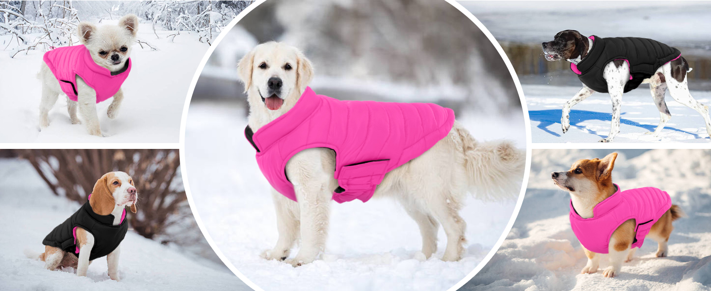 Водонепроникна куртка для собак Lelepet, тепла зимова куртка для маленьких собак, двостороння вітрозахисна куртка з застібкою-липучкою, рожева, розмір S
