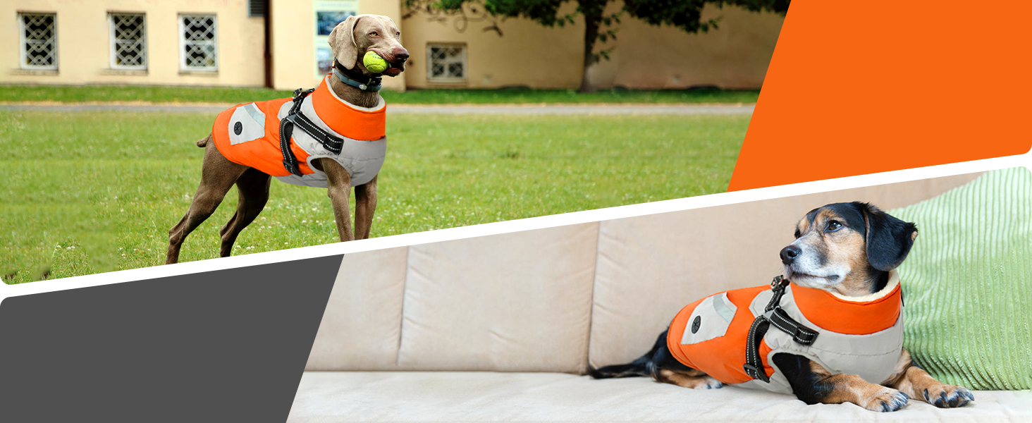 Теплий зимовий куртка для великих собак, флісова підкладка, водонепроникний та вітронепроникний, з блискавкою (Оранжевий, XL)