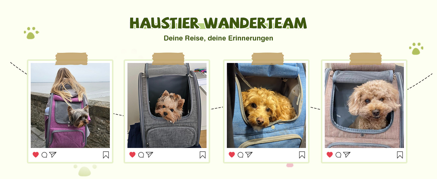 Рюкзак для котів та собак ALLSOPETS, складний, дихаючий, з сонцезахистом, для маленьких котів та собак. Ідеально для подорожей, кемпінгу та походів (Колір: Ягідний рожевий)