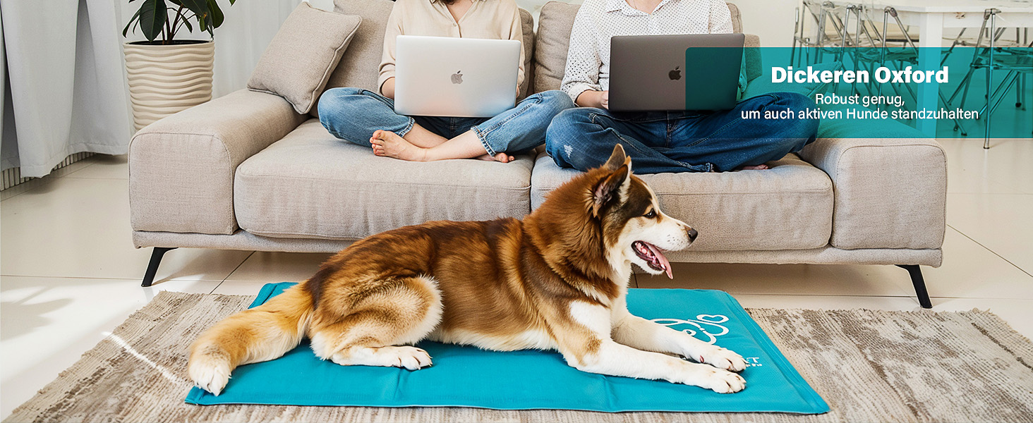 Кühlmatte для собак Pawtasy: охолоджуючий килимок для собак великих та середніх порід, 100 x 60 см, блакитний