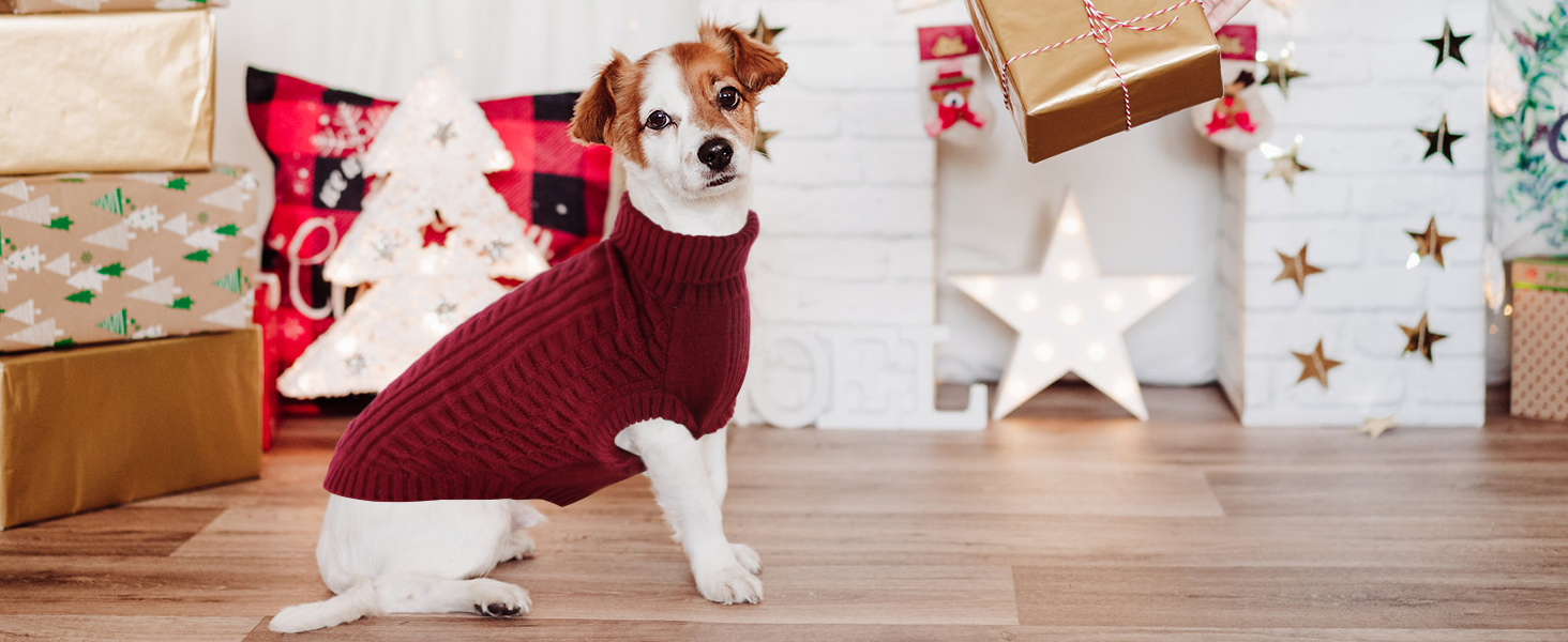 Теплий безрукавний светр для собак Citétoile з коміром-горловиною | М'який фліс, комфортний та дихаючий | Ідеальний для холодної погоди | Червоний, розмір M