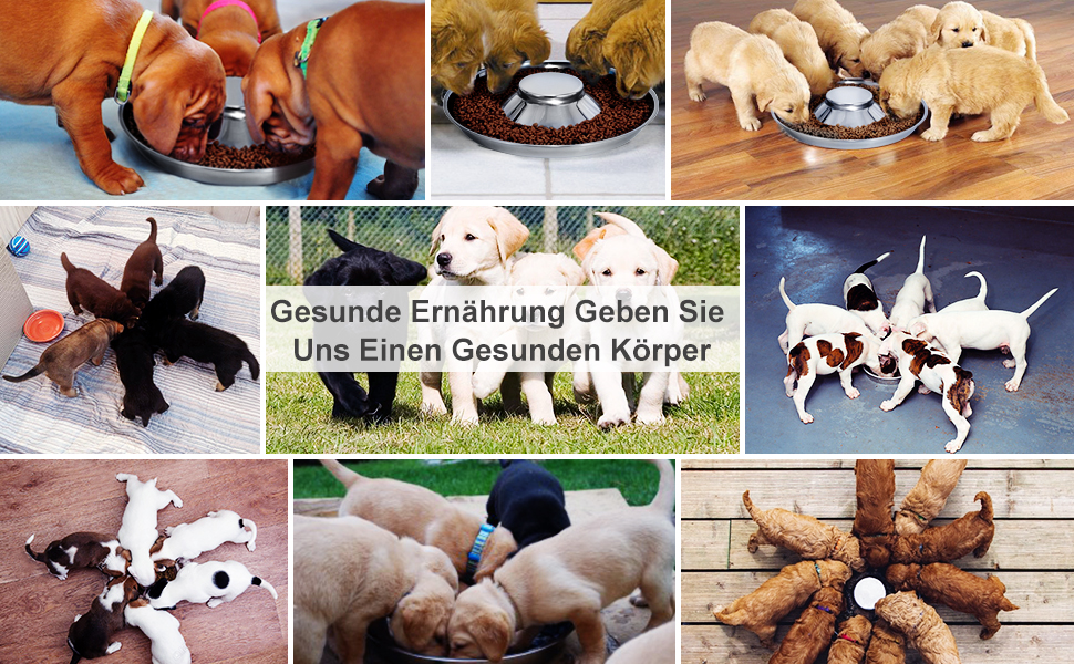 Набір з 2 мисок для собак з нержавіючої сталі LEACOOLKEY - миски для корму та води, для повільного годування, для маленьких собак, котів, тварин, сріблясті