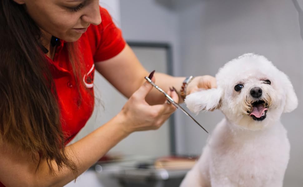 Ножиці для грумінгу домашніх тварин для собак і котів, вигнута клинка 23,5 см