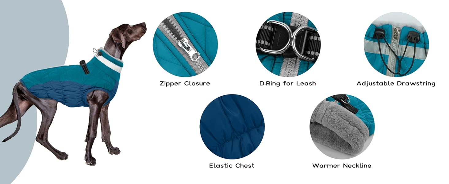 Зимовий теплий одяг для собак - куртка, пуловер, жилет для маленьких собак, чихуахуа (XXL, темно-зелений)