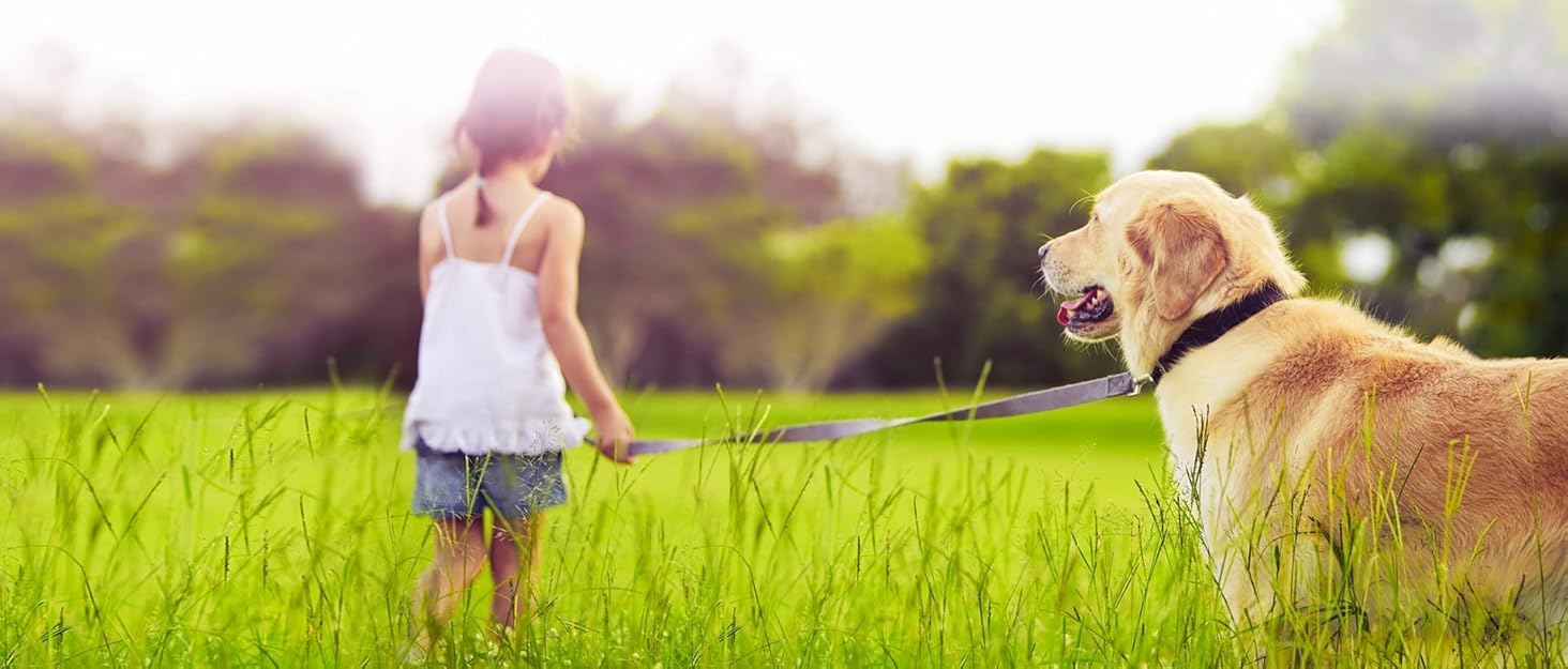 Сумка-переноска для кота/собаки COMSLE, 42x22x25 см, сіра (до 7 кг)