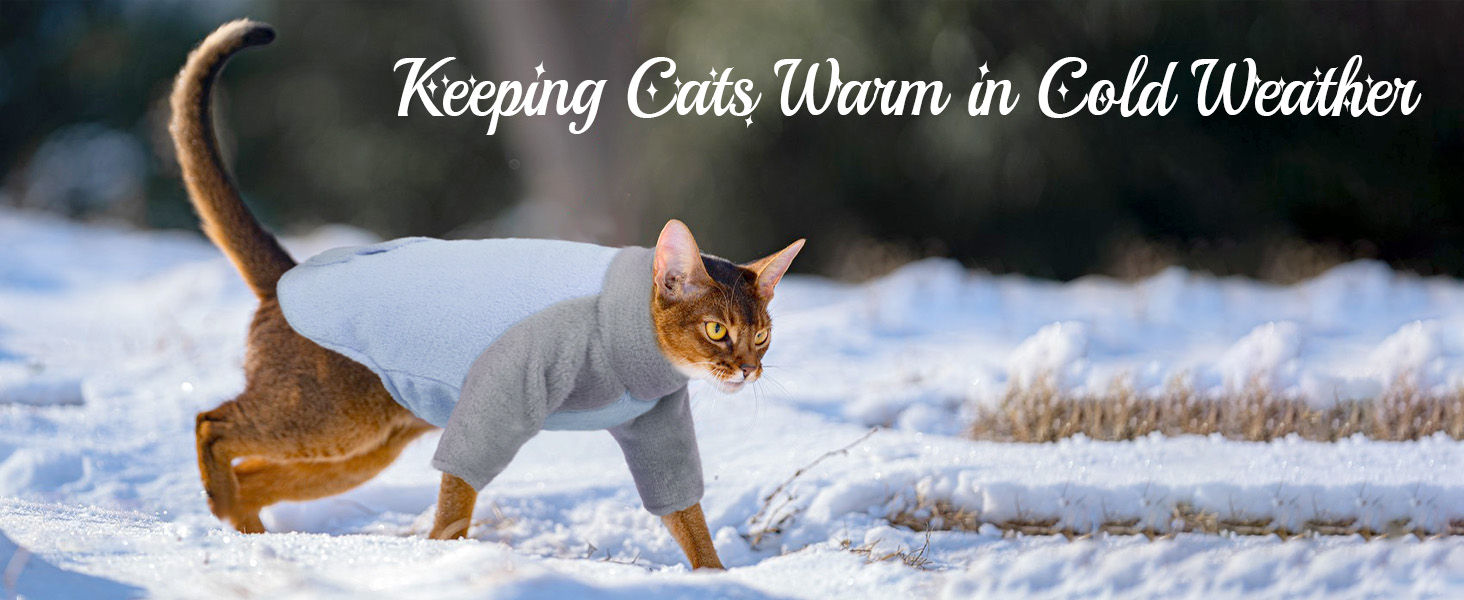 Пуловер з коміром-стійкою