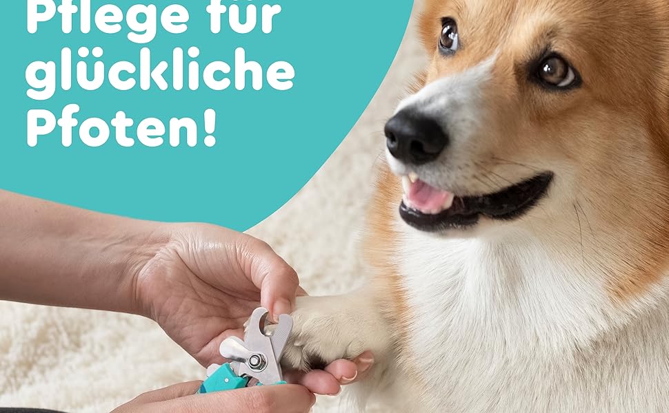 Ножиці для стрижки кігтів собак та котів COARO з захистом від травм - з фіксатором та професійною пилочкою, нержавіюча сталь