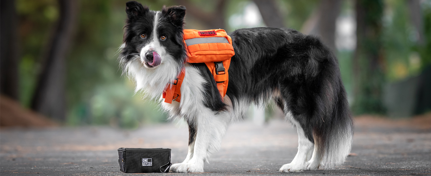 OneTigris Складаний миска для собак 0,9 л - дорожня, для подорожей, тренувань та активного відпочинку | Багаторазова упаковка