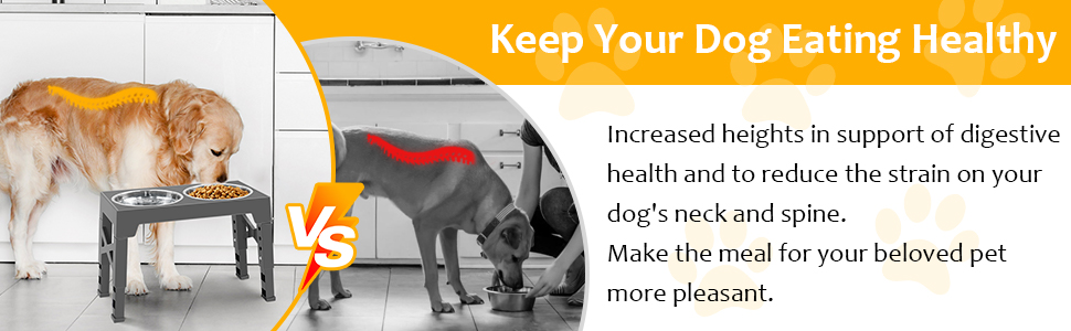 Підвищена годівниця для собак FOSTBEEN з 2 мисками з нержавіючої сталі та повільною годівницею, регульована по висоті