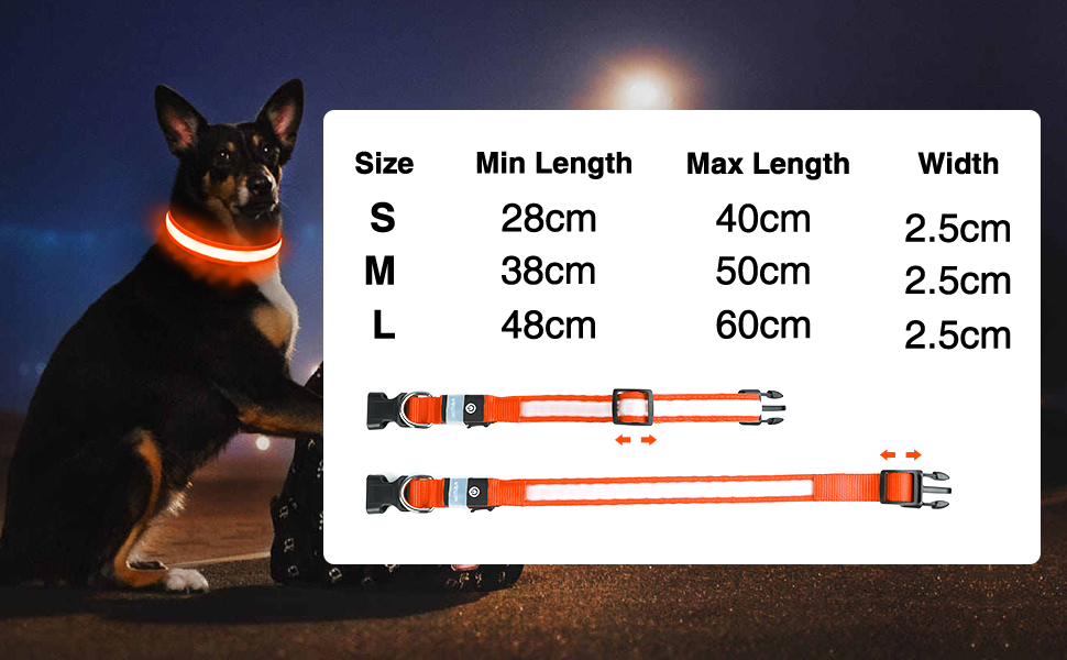 Світловідбиваючий нашийник для собак MASBRILL з LED, USB-C, регульований, водонепроникний, 3 режими світла, розмір M, колір зелений