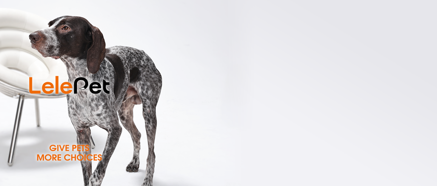 Водонепроникна куртка для собак Lelepet, тепла зимова куртка для маленьких собак, двостороння вітрозахисна куртка з застібкою-липучкою, рожева, розмір S