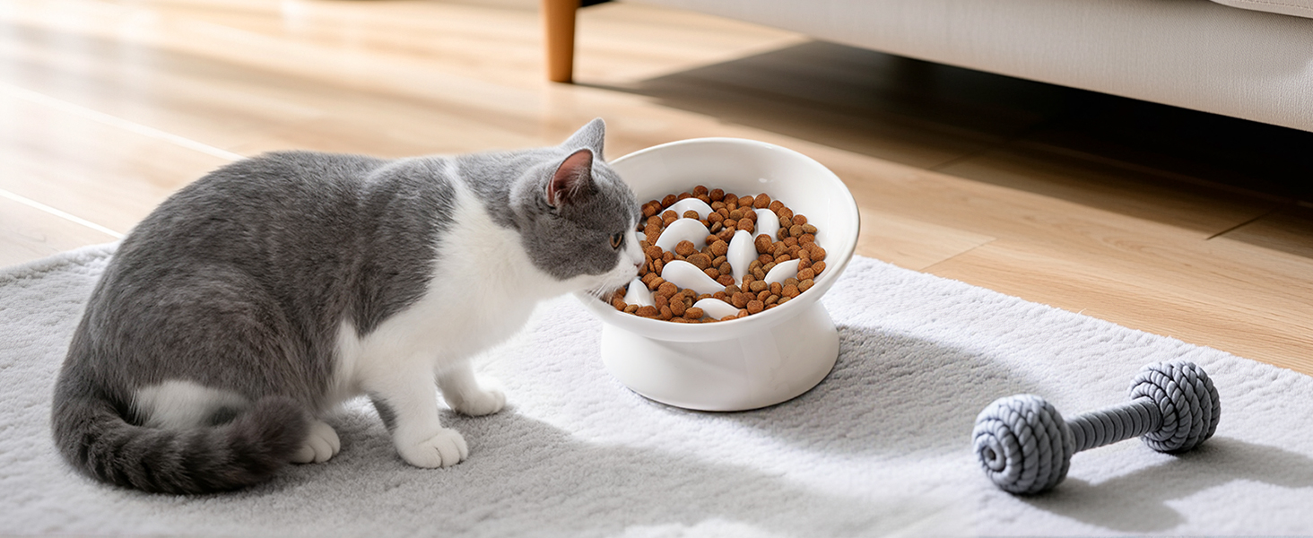 Керамічна миска для котів з підняттям, протиковзаюча, для повільного годування, біла