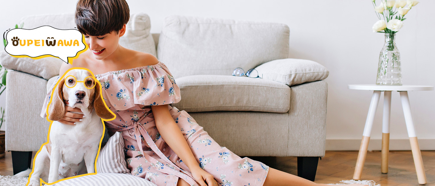 Ортопедичне ліжко для собак OUPEIWAWA, 62x50x17 см, сірого кольору. М'яке, зручне, з високим бортиком, знімний чохол, антиковзаюче, для дому та авто