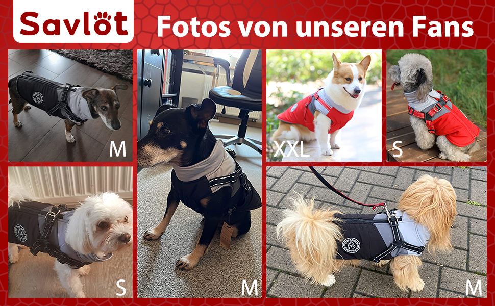 Водонепроникний зимовий теплий дощовик для собак Savlot - вітронепроникна куртка для маленьких та середніх собак з нашийником, світловідбиваючі елементи (чорний + сірий)