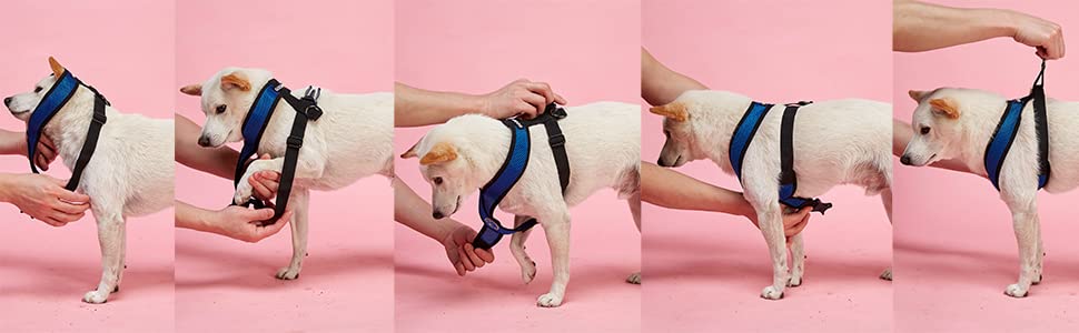 Нашийник для собак Gooby Comfort X, розмір L, червоний. Безпечний, для прогулянок та дому, для собак малих та середніх порід. Захист від задухи, X-Design.