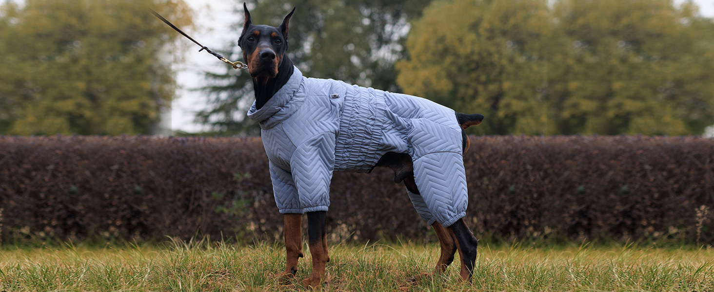 Теплий зимовий одяг для собак: двошагова жилетка, непромокаєма, вітронепроникна, з відбиваючими елементами. Підходить для малих, середніх та великих собак. Сірий XXL 2XL (back 19')