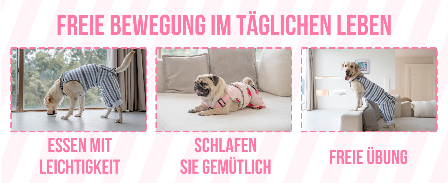 Комбінезон для собак після операції, дихаючий, для передніх лап, рожевий, XS (довжина спини 27-32 см, довжина лап 15 см)