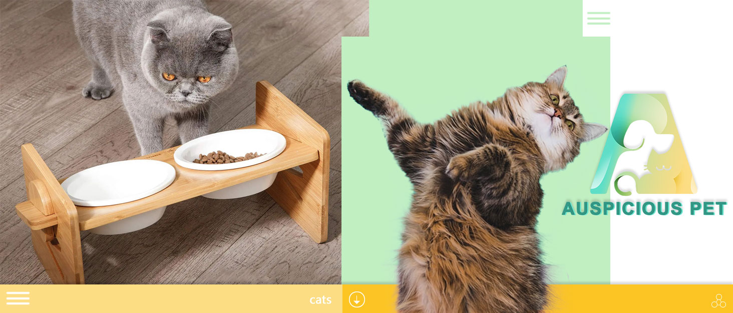 Миска для котів, піднята керамічна миска для котів та маленьких собак, набір мисок для котів та собак, миски для котів (включно зі стійкою)