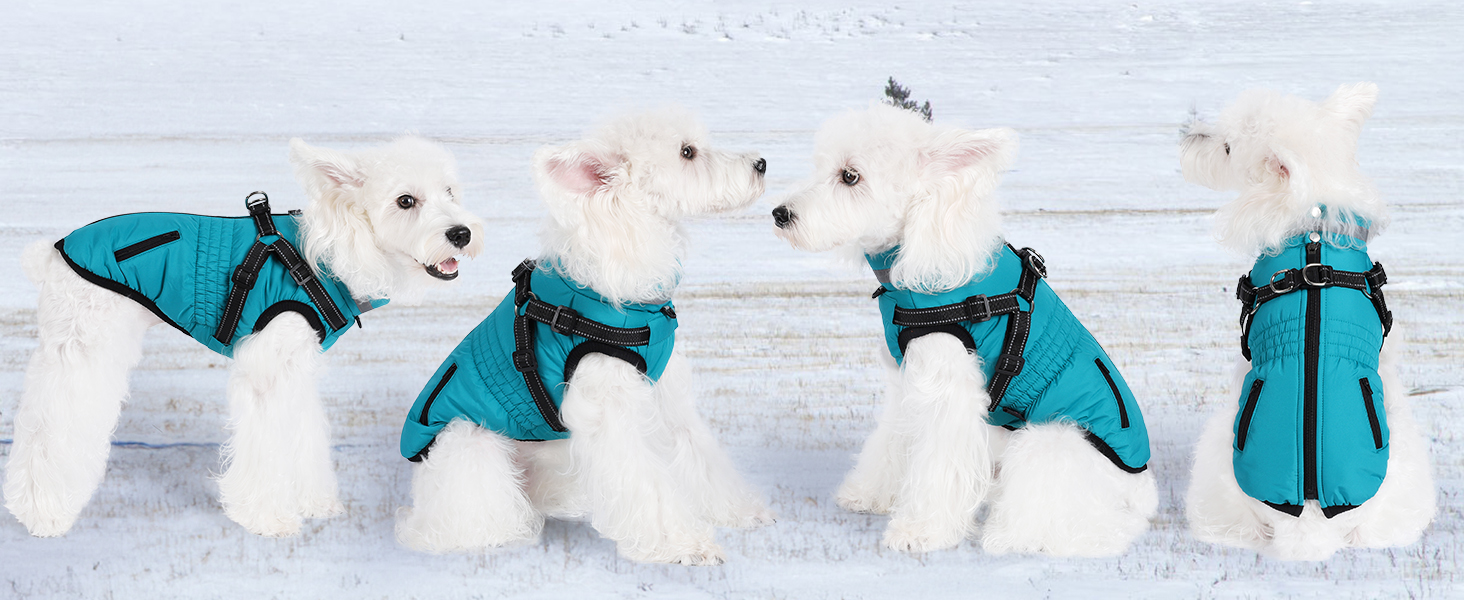 Водонепроникний теплий зимовий теплий куртка для собак та котів. Зелений, на блискавці