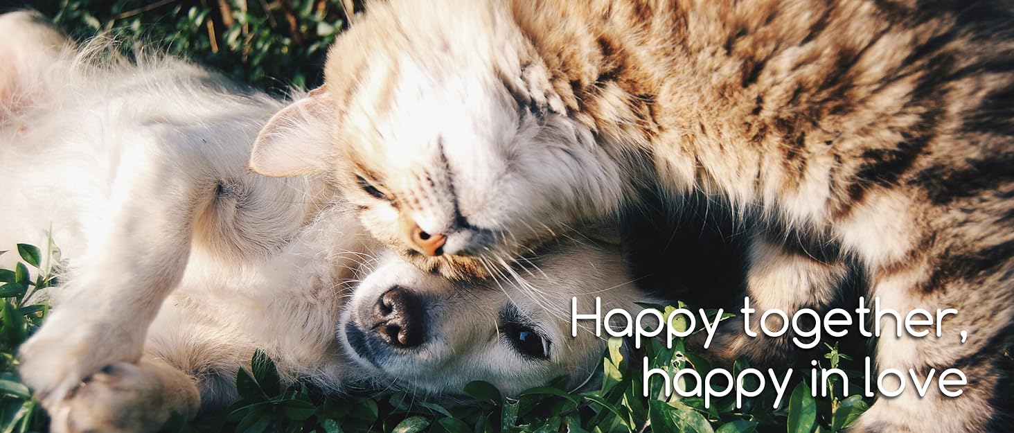 Водонепроникне ортопедичне ліжко для собак великих порід з memory foam, сіре, 121 x 81 x 19 см