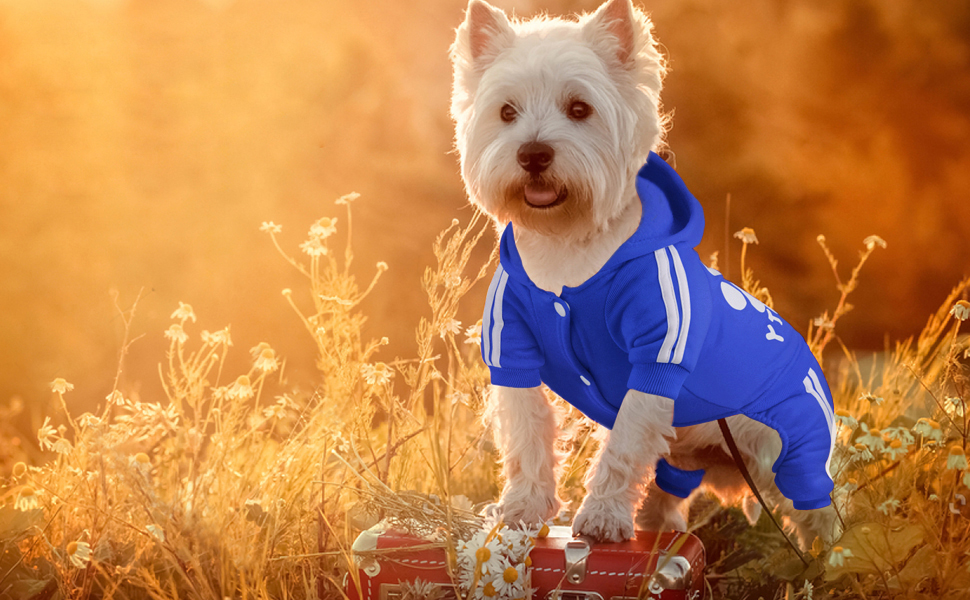 Теплий пуловер для собак на осінь-зиму: м'яка флісова куртка для чихуахуа, тедді та інших маленьких та середніх порід. Бавовняний костюм для собак та котів (L, темно-синій)