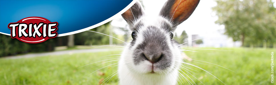 Тріксі Міст для котів Weidenbrücke, 24 x 13 x 25 см (2 шт.)