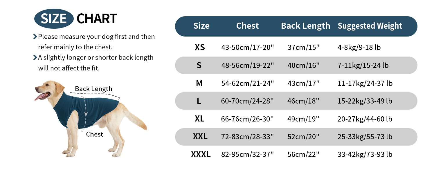 Пуловер для собак Heywean з флісу, теплий, для зимового носіння, для малих, середніх та великих собак (XXL, блакитний)