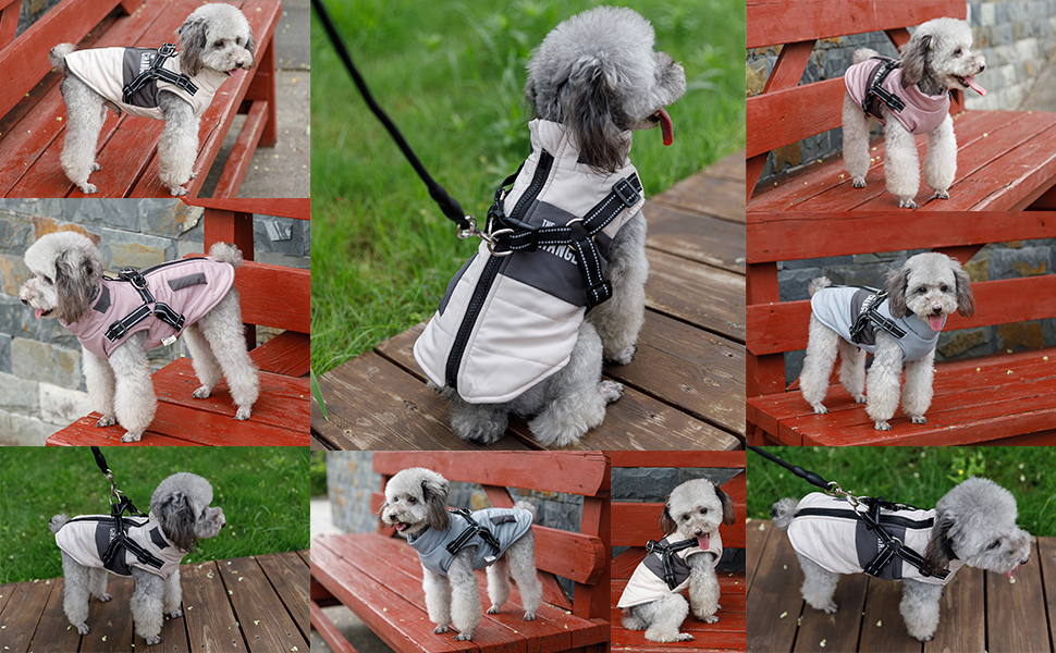 Теплий зимовий одяг для собак, куртка та повідки для маленьких та середніх собак, блакитний XL, сірий