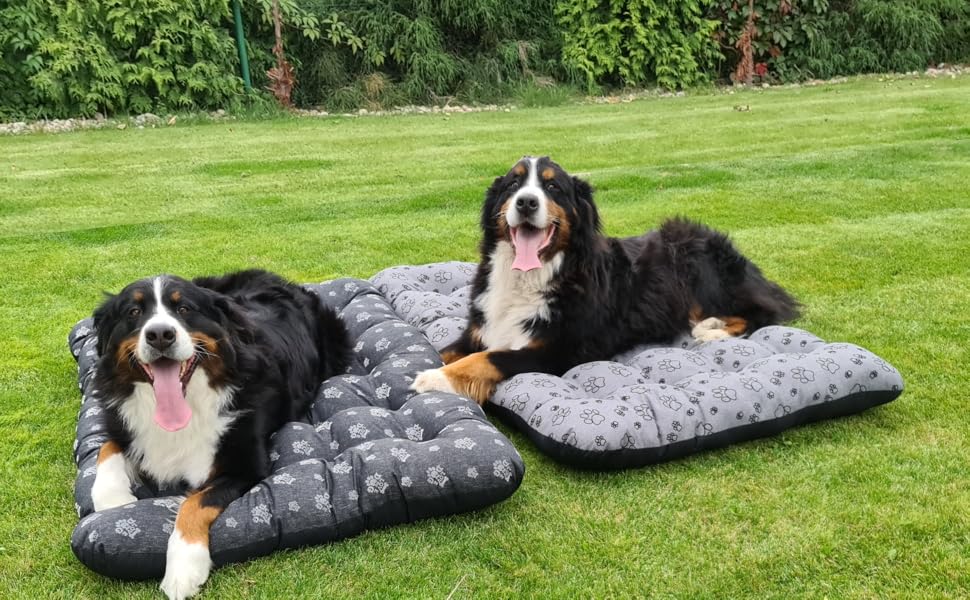 Килимок для собак середніх порід 70x55x7 см - Водонепроникний лежак для собак, котів, кроликів з антиковзаючою поверхнею, сірий льон