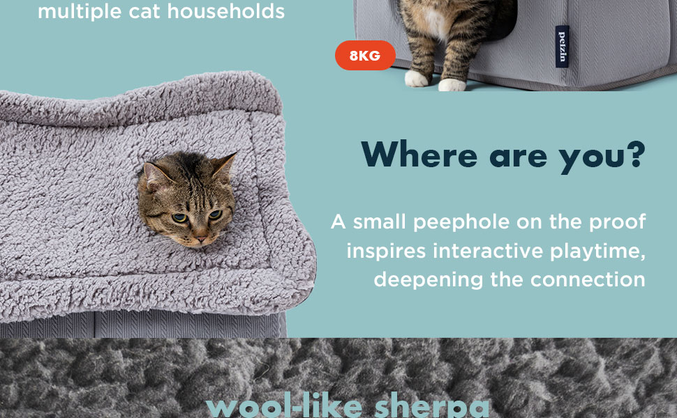 Будиночок для кота Pelzin - затишна кімната з пінополіуретаном та килимком - затишне місце для відпочинку кошенят та дрібних тварин, вапняк