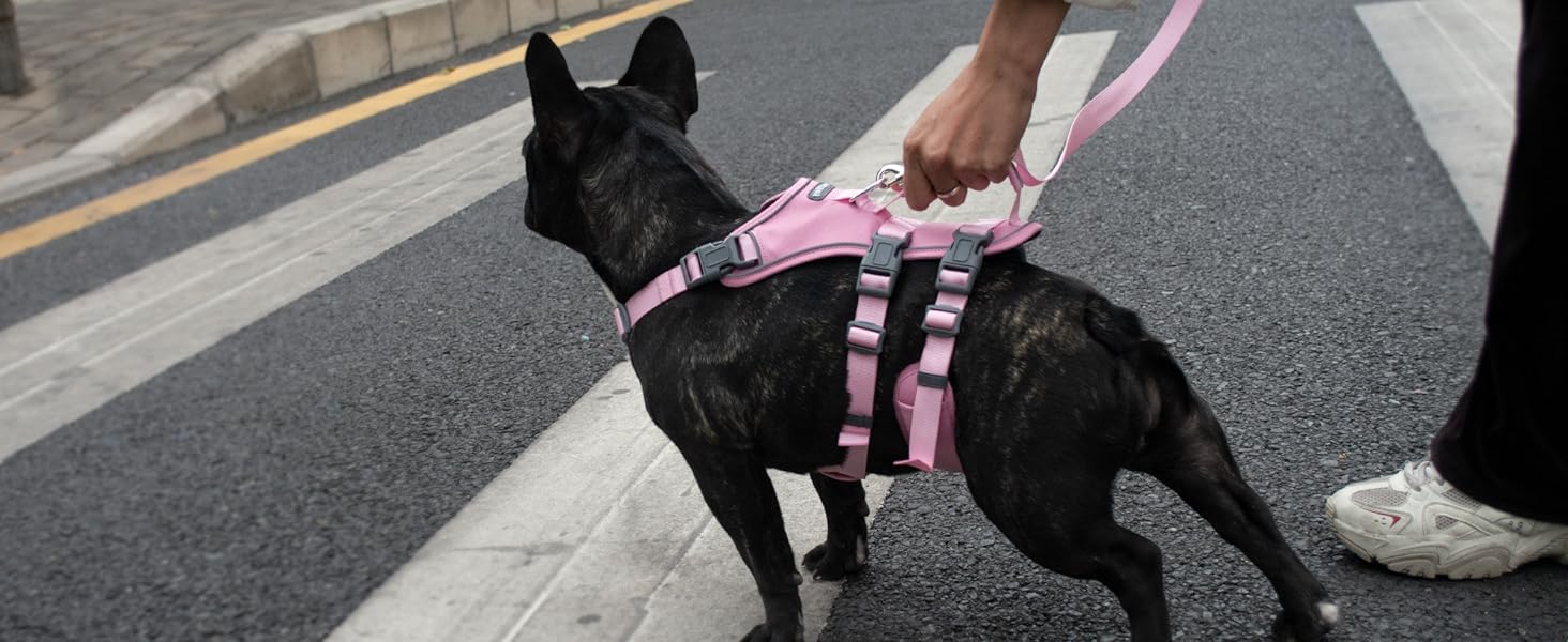 Нашийник для собак Wuffley з повідком, безпечний нашийник від вислизання, анти-тяговий нашийник з ручкою та світловідбиваючими елементами, легкий, регульований нашийник для середніх собак (рожевий, XS) Дуже маленький рожевий
