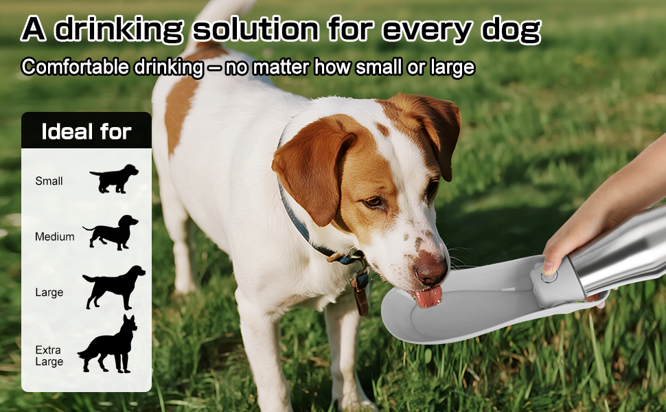 Водяна пляшка для собак на прогулянці 750 мл - не протікає, з нержавіючої сталі, з подвійними стінками, ізольована, сіра