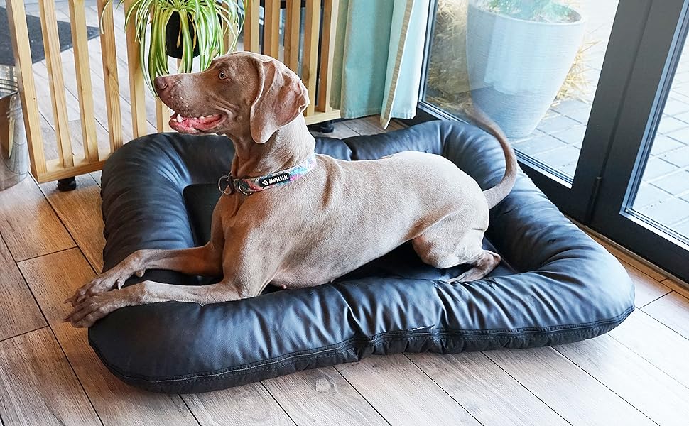 Крісло-ліжко для собак середніх порід Ella від 4L Textil: водостійке, з штучної шкіри, 90x70 см, графіт