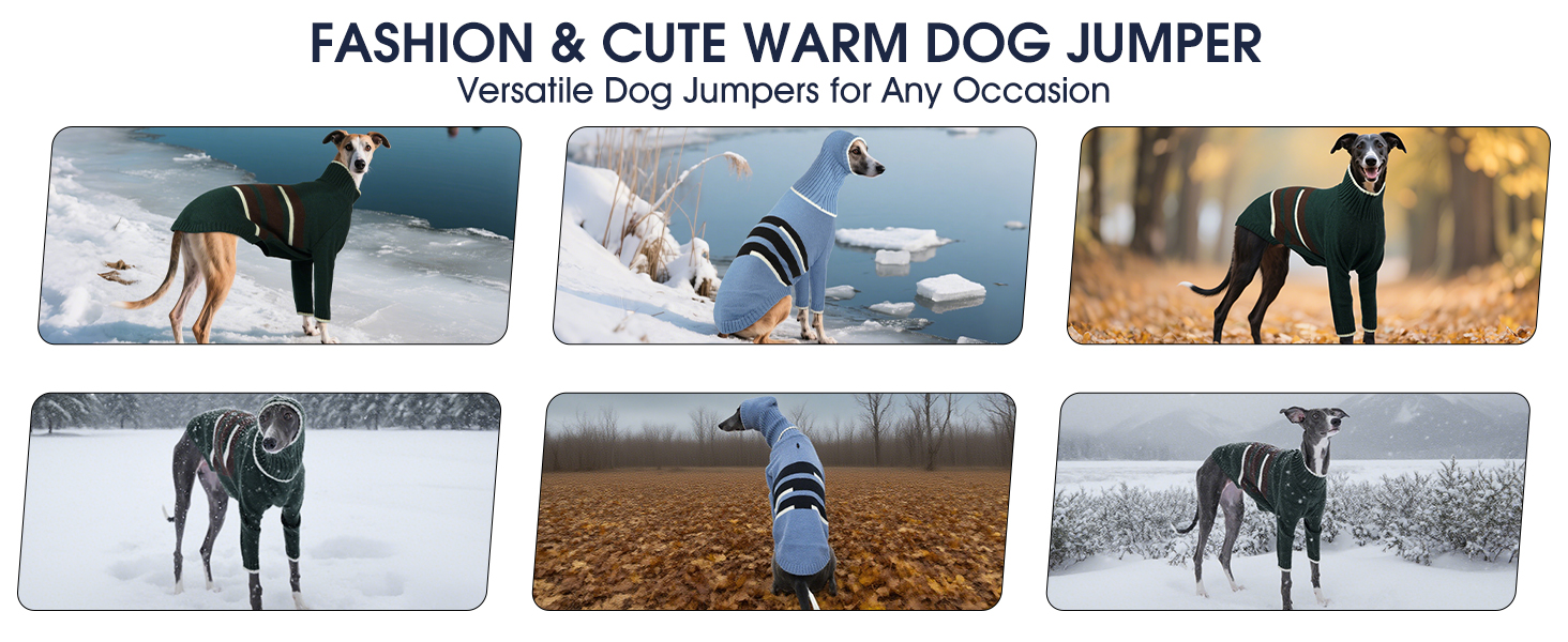 Пуловер IECOii для собак з навушниками, теплий зимовий костюм для грейхаундів, курчаків, віппетів, блакитний, розмір M