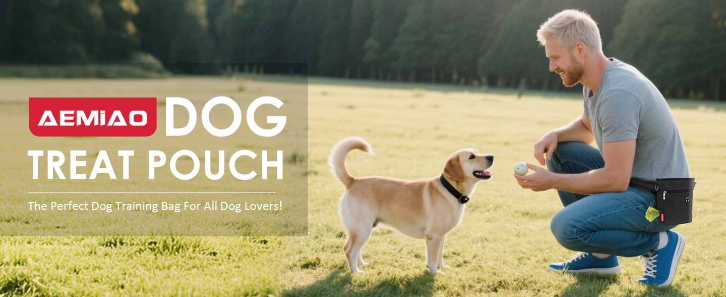 Лекарства для собак з магнітною застібкою, сумка для дресирування собак з знімною внутрішньою кишеню, багатофункціональна сумка для ласощів для собак зі змінним дозатором відходів, сіра (чорна)