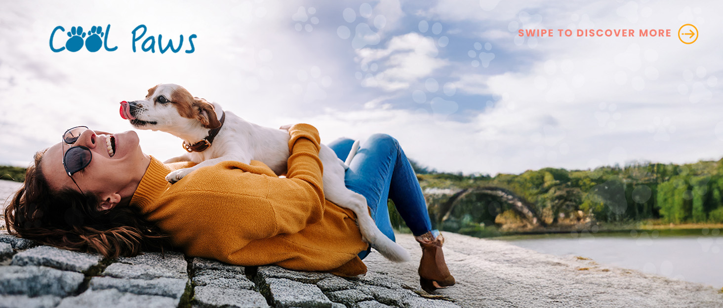 Сумка-переноска для котів та маленьких собак - легка, дихаюча переноска з сіткою, посиленим каркасом, знімним матом та плечовим ременем для безпечного транспортування BLACK M