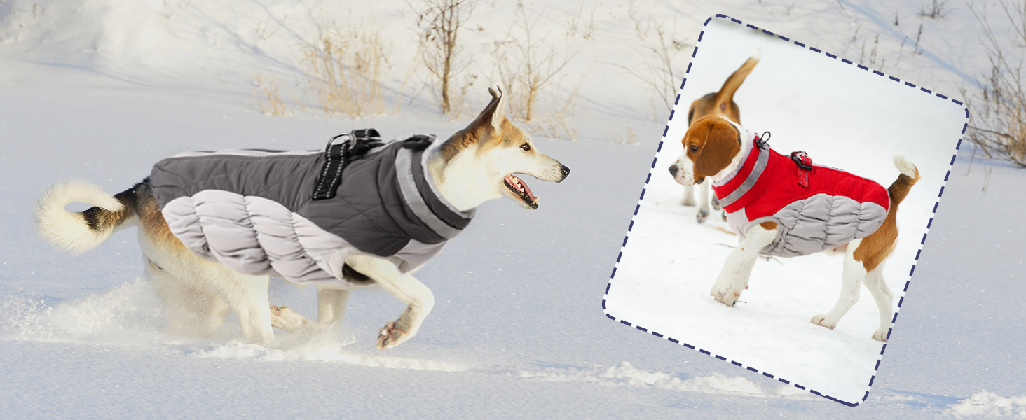 Зимовий одяг для собак CITETOILE: теплий водонепроникний жилет з флісовою підкладкою та світловідбиваючими елементами (М, темно-синій)