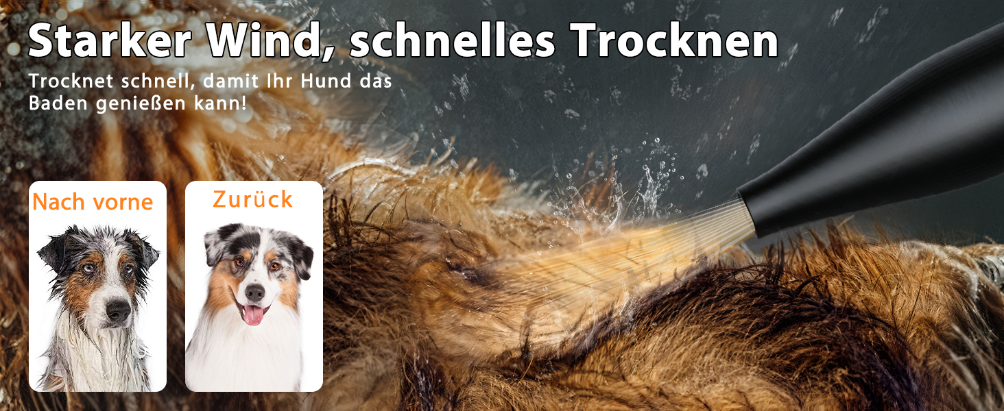 Фен для собак Blower 3000W, тихий, з регулюванням швидкості, 4 насадки, синій