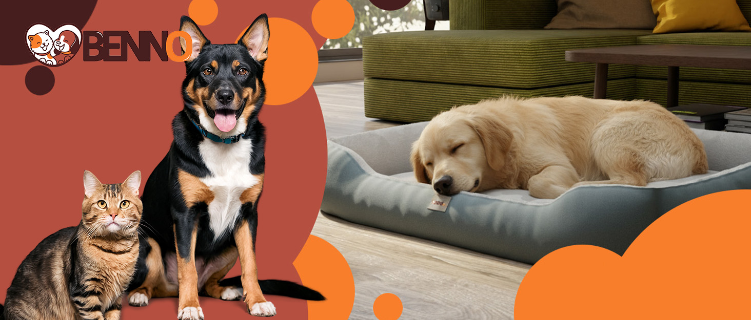 BENNO® Крісло-лежанка для собак BALU 70x70x16 см, у формі пончика, м'яке ліжко з поліестеру з поліпропіленовим наповнювачем, можна прати, неслизьке дно, з іграшкою-кісткою, антрацит