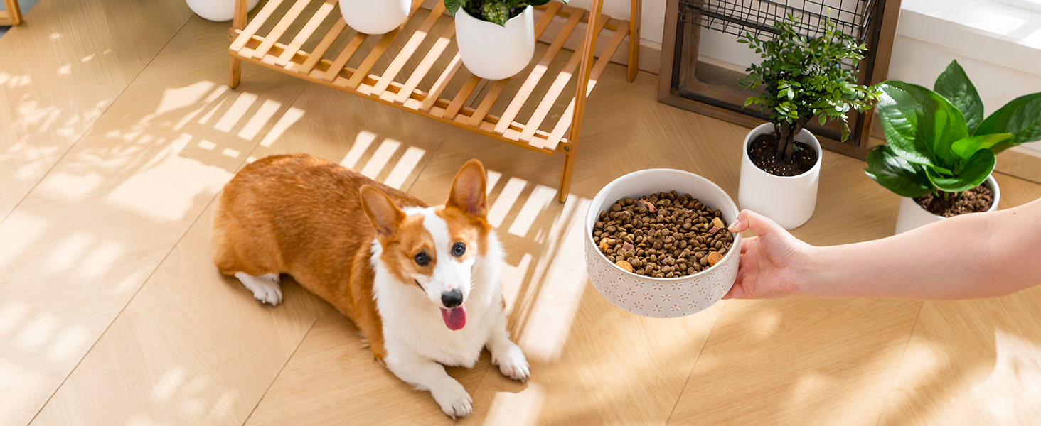 Миска для собак Malacasa з підставкою з горіхового дерева, 450 мл, подвійна миска для собак та котів, для корму та води, неслизька підставка, дизайн у формі п'ятипелюсткового клеверу та соти (1000 мл * 1, п'ятипелюстковий клевер)